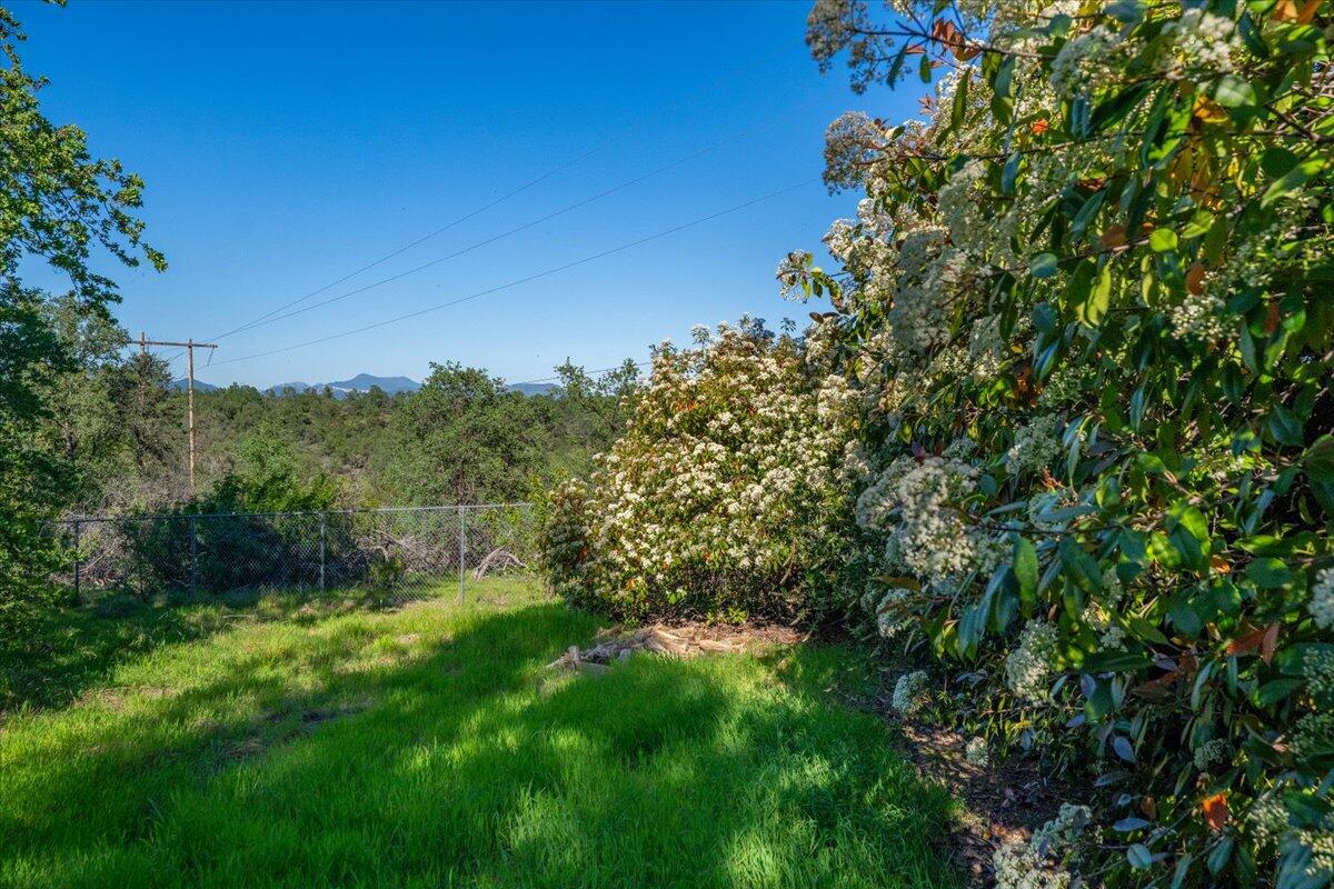 1119 River Ridge Drive Redding, CA 96003 - Photo 48 of 57 Additional Backyard Space