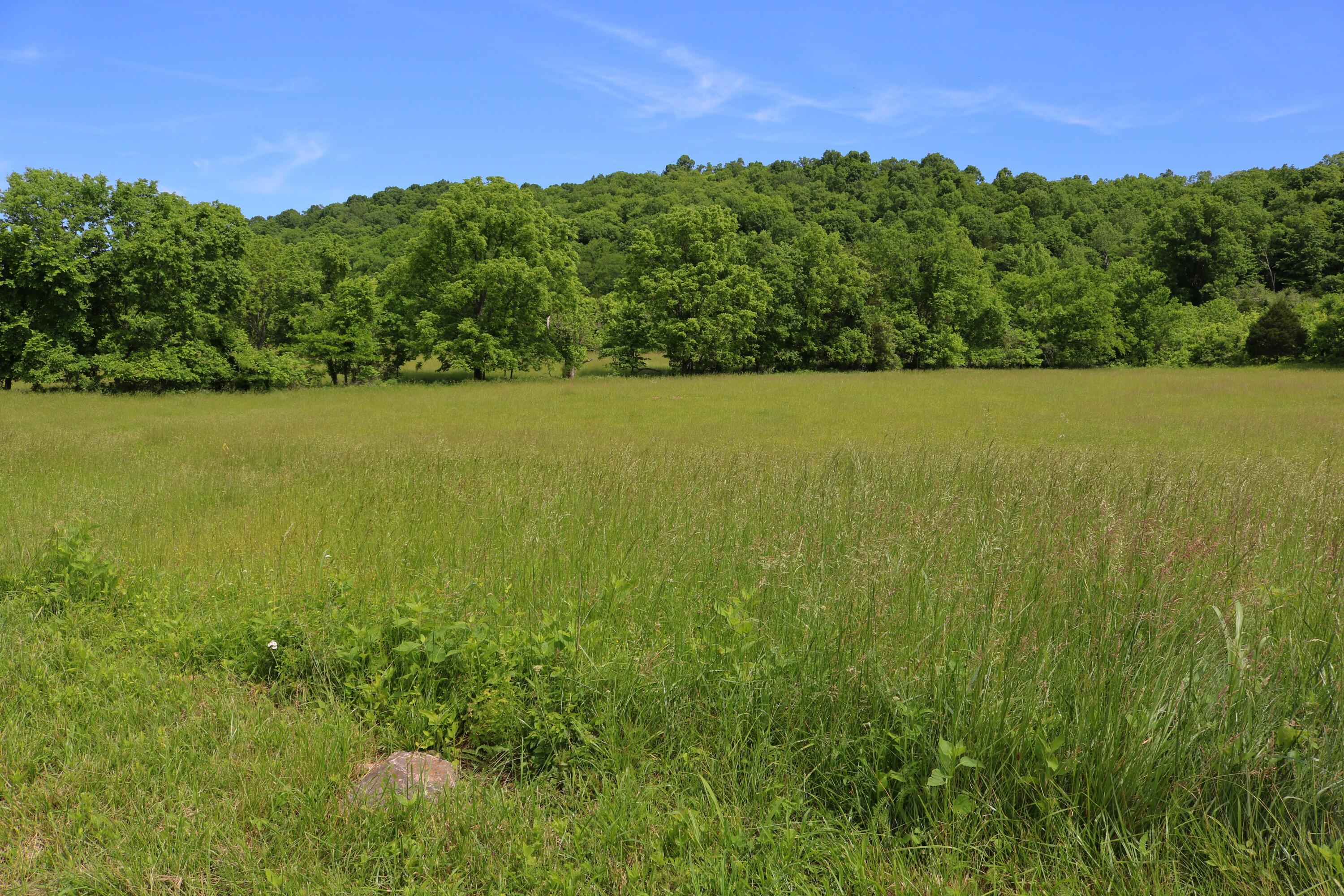 25.78 McDonald Ferry Road Frankfort, KY 40601 - Photo 7 of 14