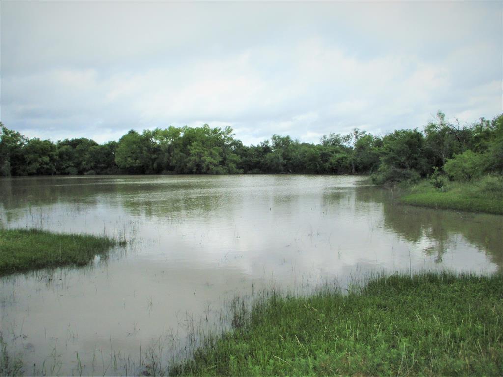 a view of a lake in middle of forest