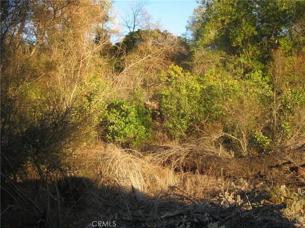 a view of a bathroom with a yard