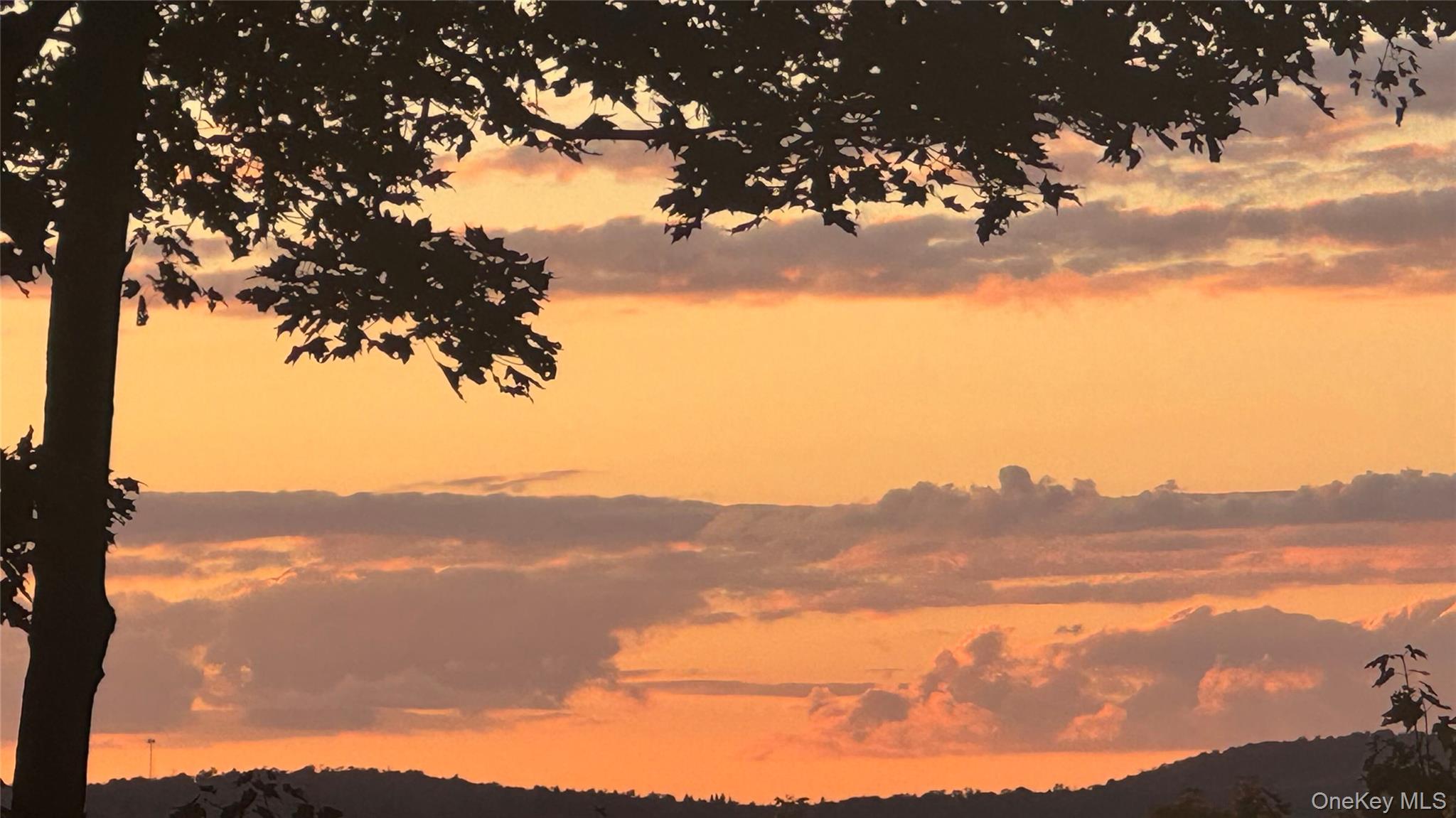 60 Mountain Terrace Road Parksville, NY 12768 - Photo 4 of 23