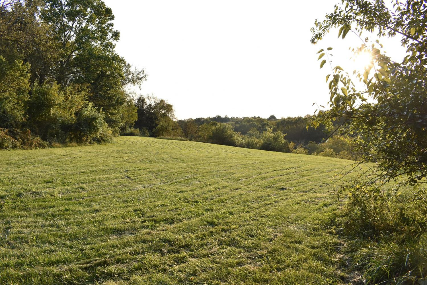 6520 Irvine Road Winchester, KY 40391 - Photo 2 of 2 Photo 2