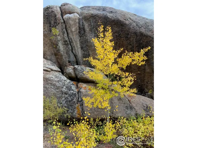 $60,000 | 0 Northwoods Drive, Red Feather Lakes, CO 80545