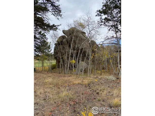 $60,000 | 0 Northwoods Drive, Red Feather Lakes, CO 80545