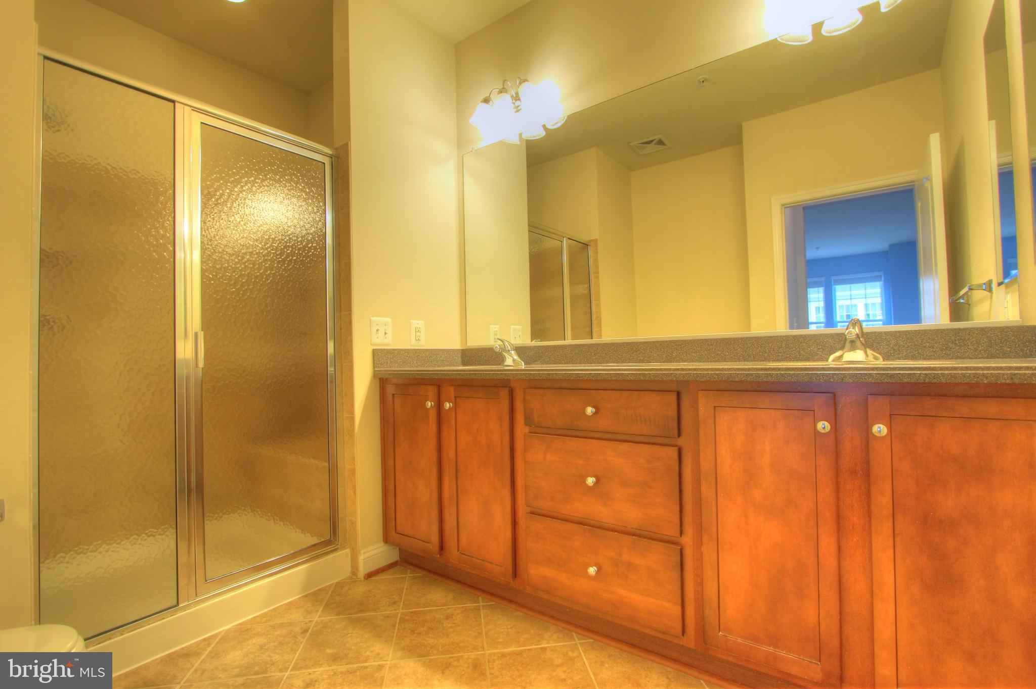 11205 Chase Street, Unit 63 Fulton, MD 20759 - Photo 9 of 22 a bathroom with a shower and a sink
