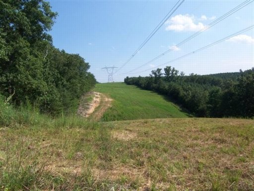37 Brickell Ridge Road Decatur, TN 37322 - Photo 1 of 2