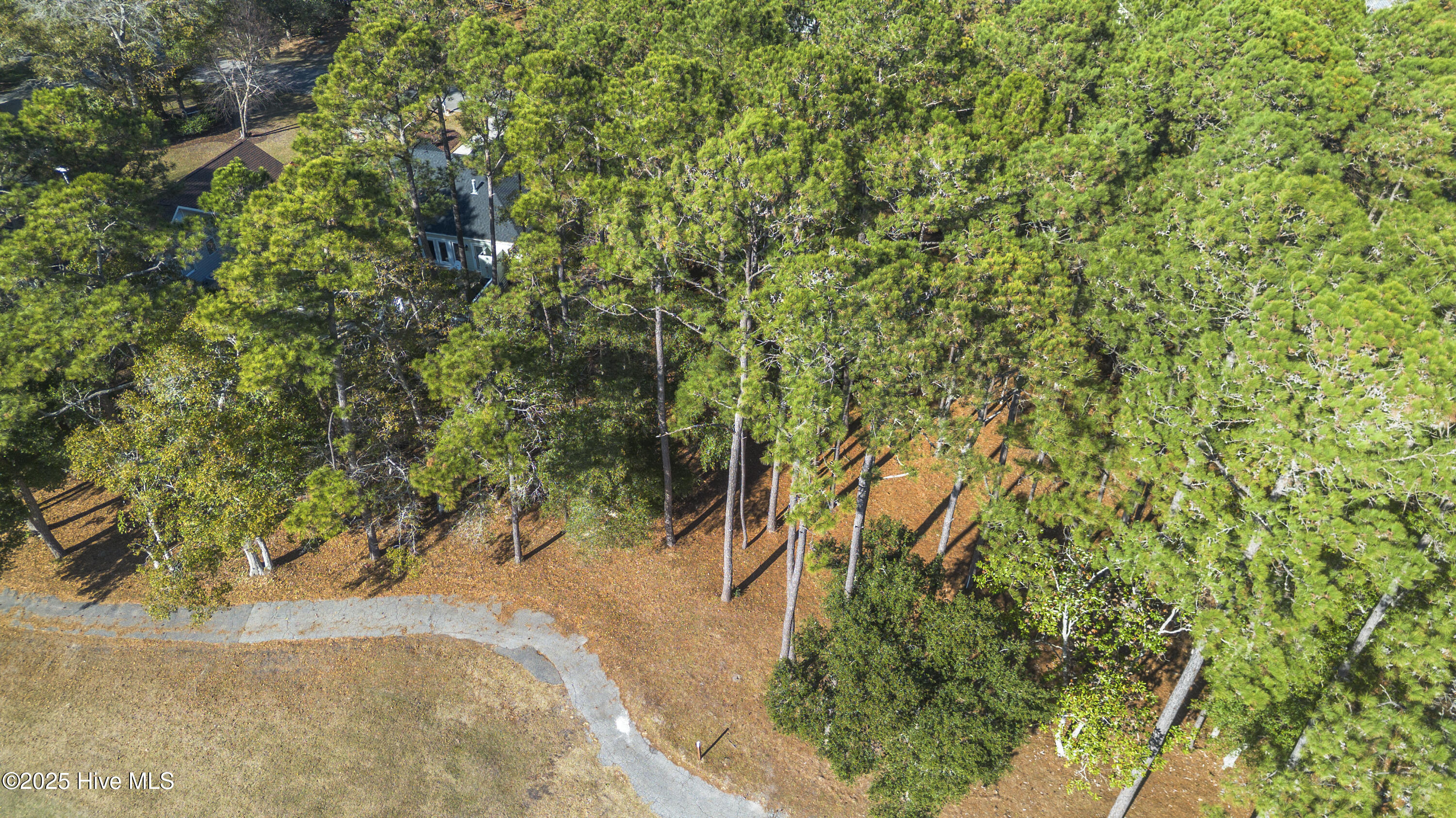 459 Genoe's Point Road Southwest Supply, NC 28462 - Photo 7 of 13 DJI_0846