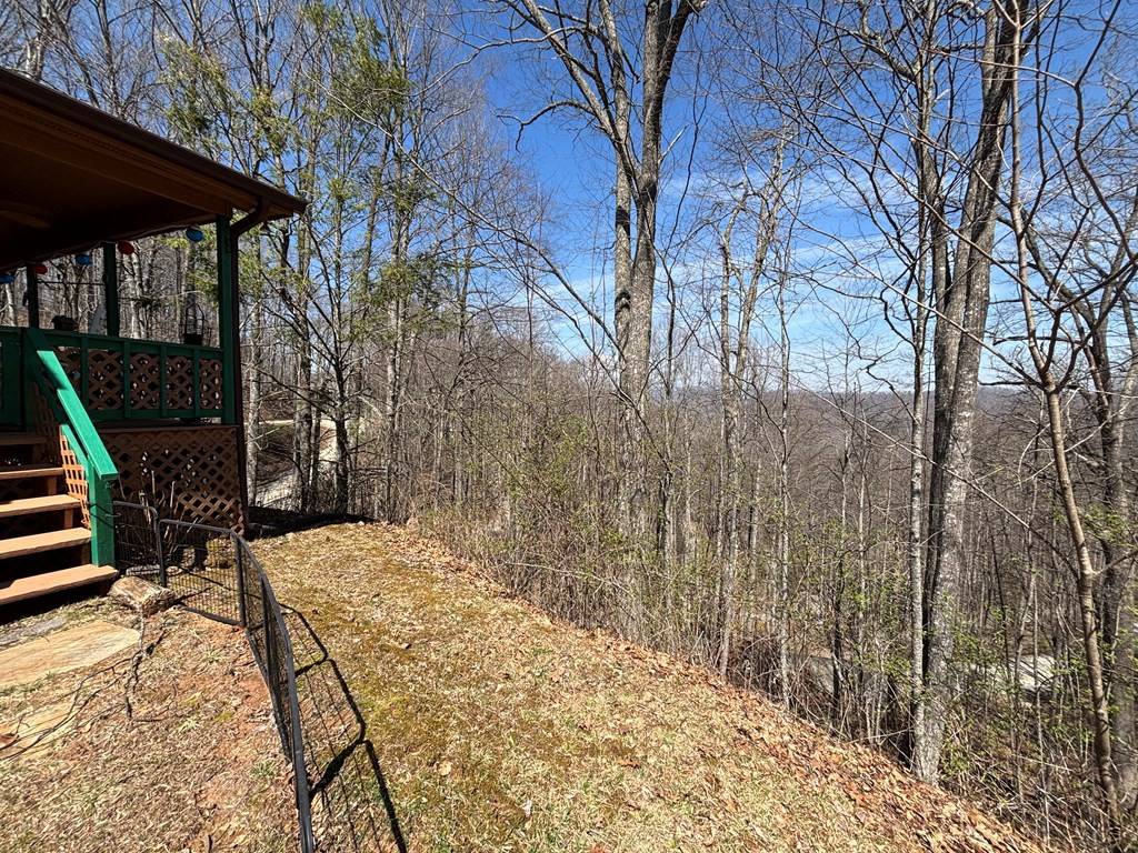 74 Hemlock Lane Topton, NC 28781 - Photo 8 of 28