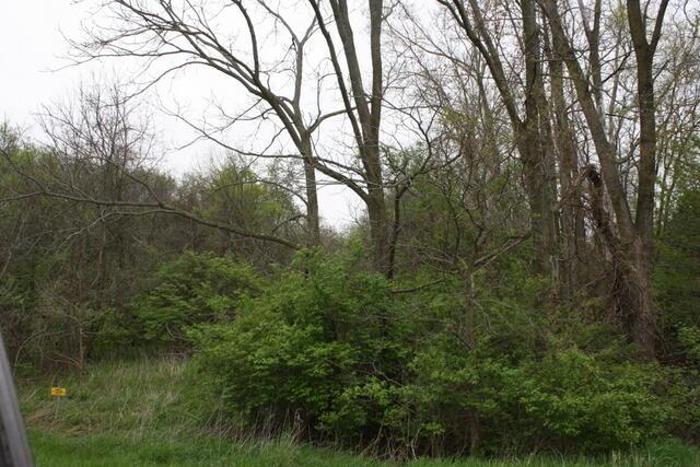 0 Peters Road Ashley, OH 43003 - Photo 6 of 7 6