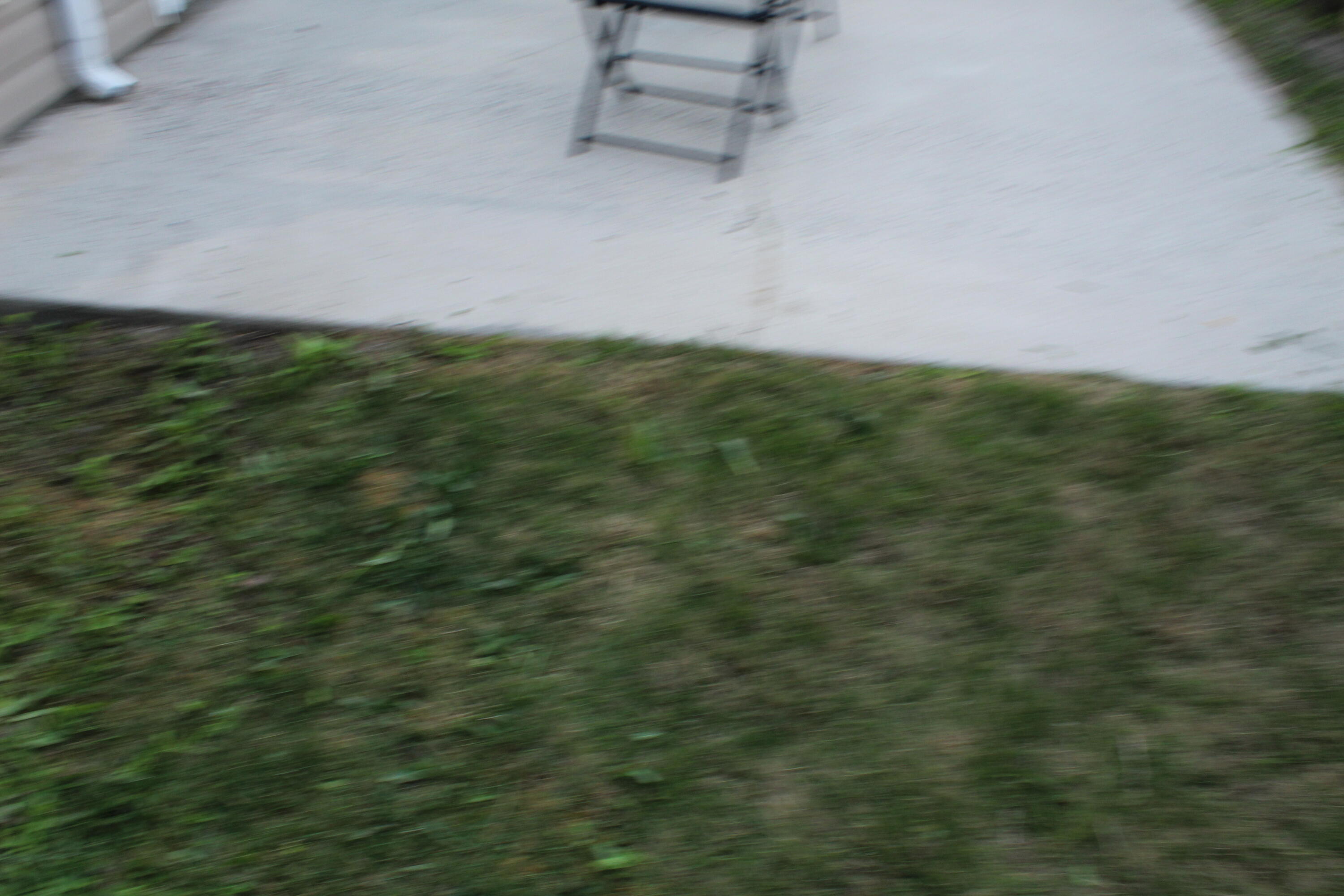 1802 Honeysuckle Way Grovetown, GA 30813 - Photo 13 of 75 IMG_8298