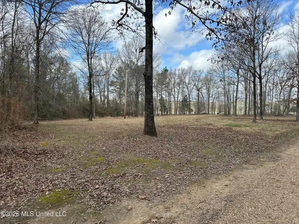 $194,900 | 10.2-acres Barnes Road, Florence, MS 39073