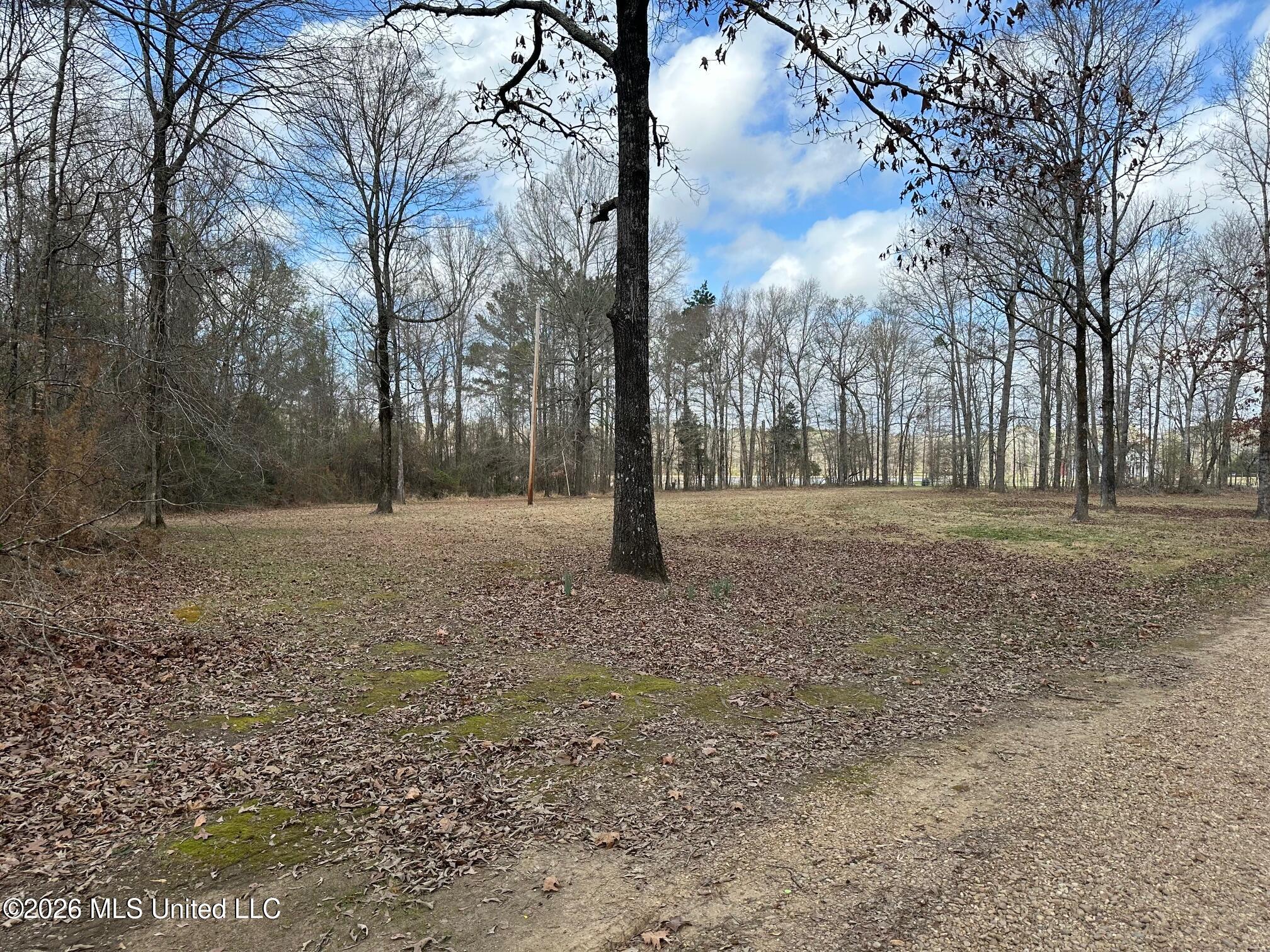 10.2-acres Barnes Road Florence, MS 39073 - Photo 4 of 8 IMG_3839