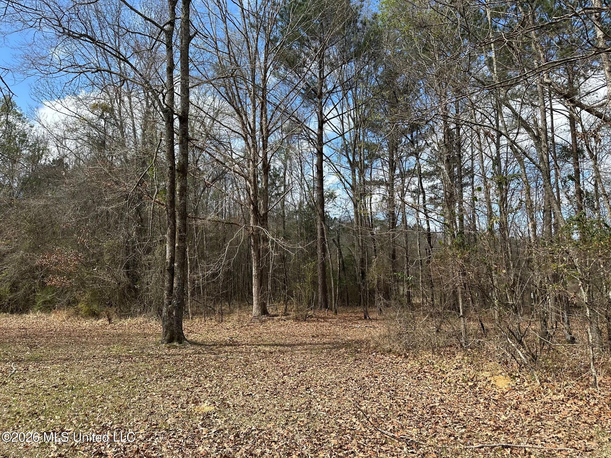 10.2-acres Barnes Road Florence, MS 39073 - Photo 5 of 8 IMG_3841