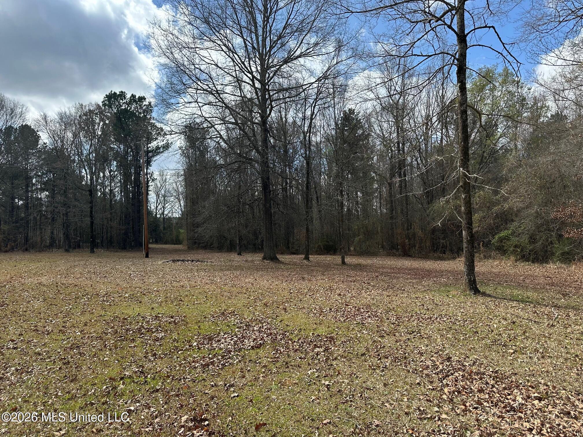 10.2-acres Barnes Road Florence, MS 39073 - Photo 6 of 8 IMG_3842