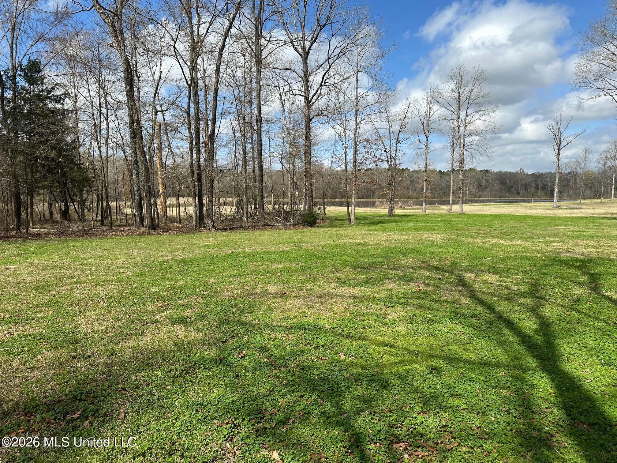 10.2-acres Barnes Road Florence, MS 39073 - Photo 7 of 8 IMG_3843