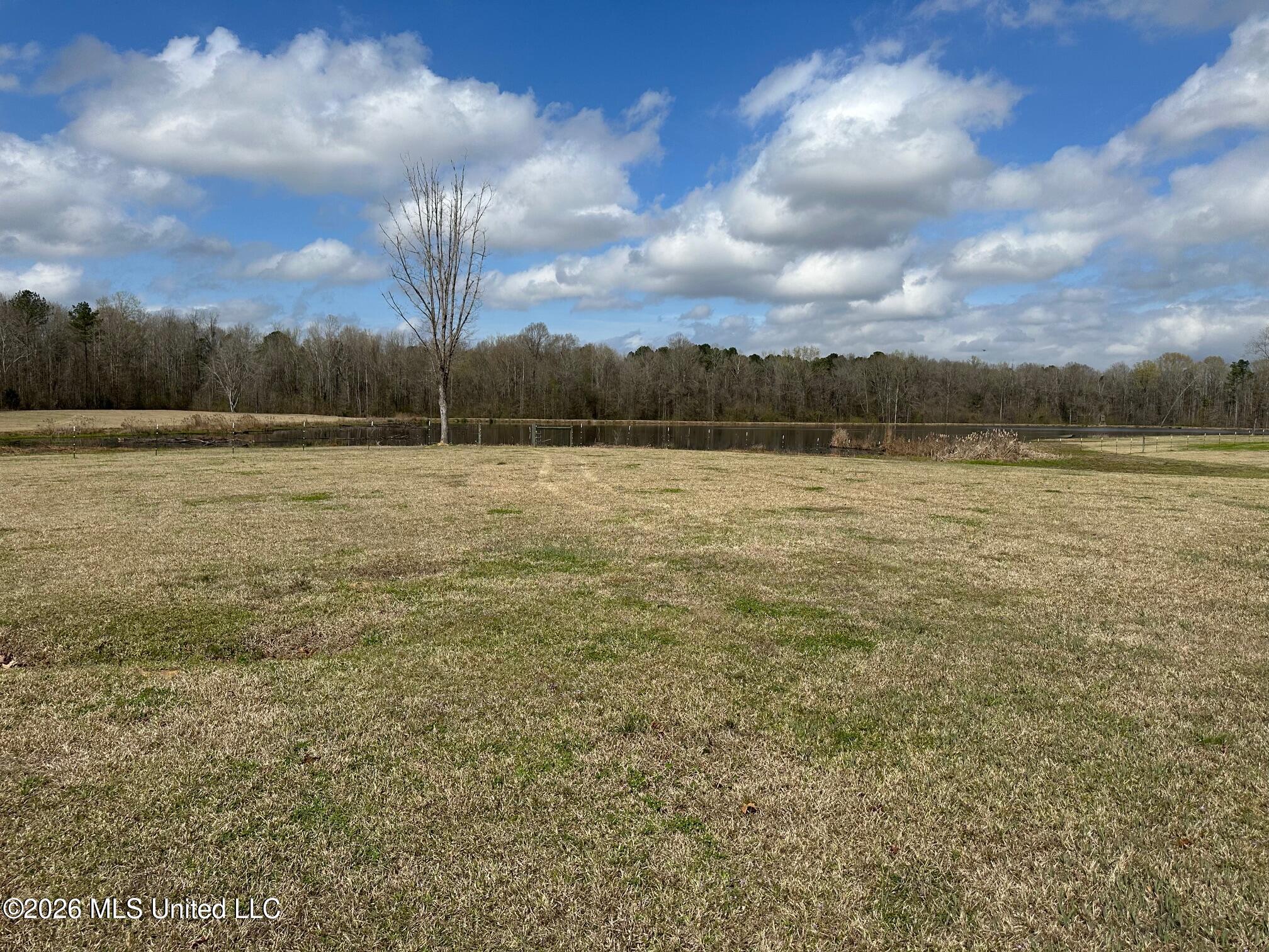 10.2-acres Barnes Road Florence, MS 39073 - Photo 8 of 8 IMG_3844