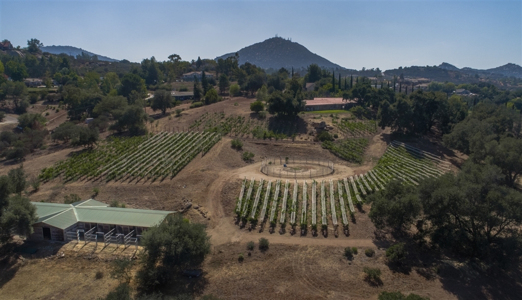 18011 Bluegrass Road Ramona, CA 92065 - Photo 22 of 25 Gallery Image 22