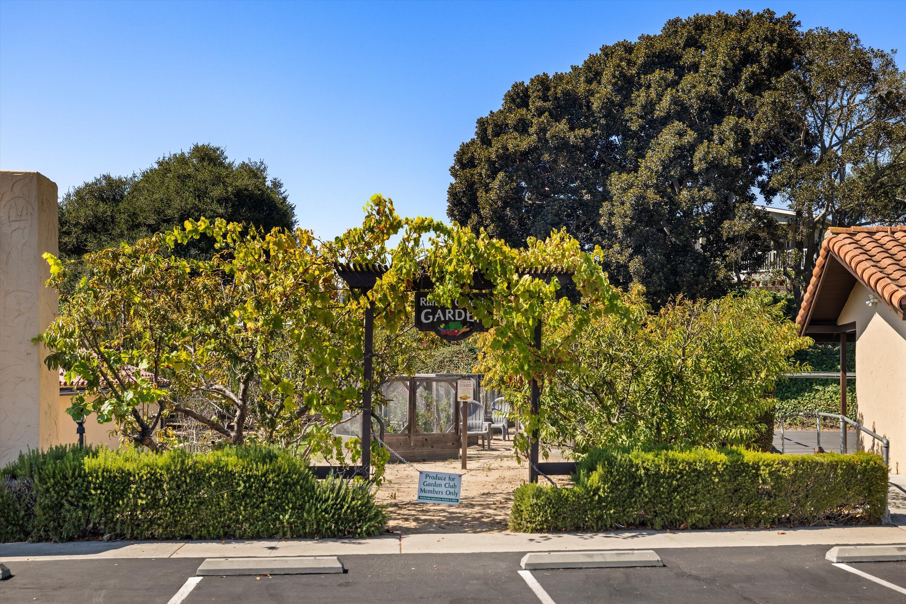 333 Old Mill Road, Unit 332 Santa Barbara, CA 93110 - Photo 46 of 56 Garden Area for Residents