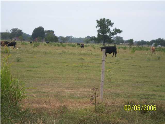 0 Kerrell Vidrine Road Ville Platte, LA 70586 - Photo 4 of 4 Additional Photo