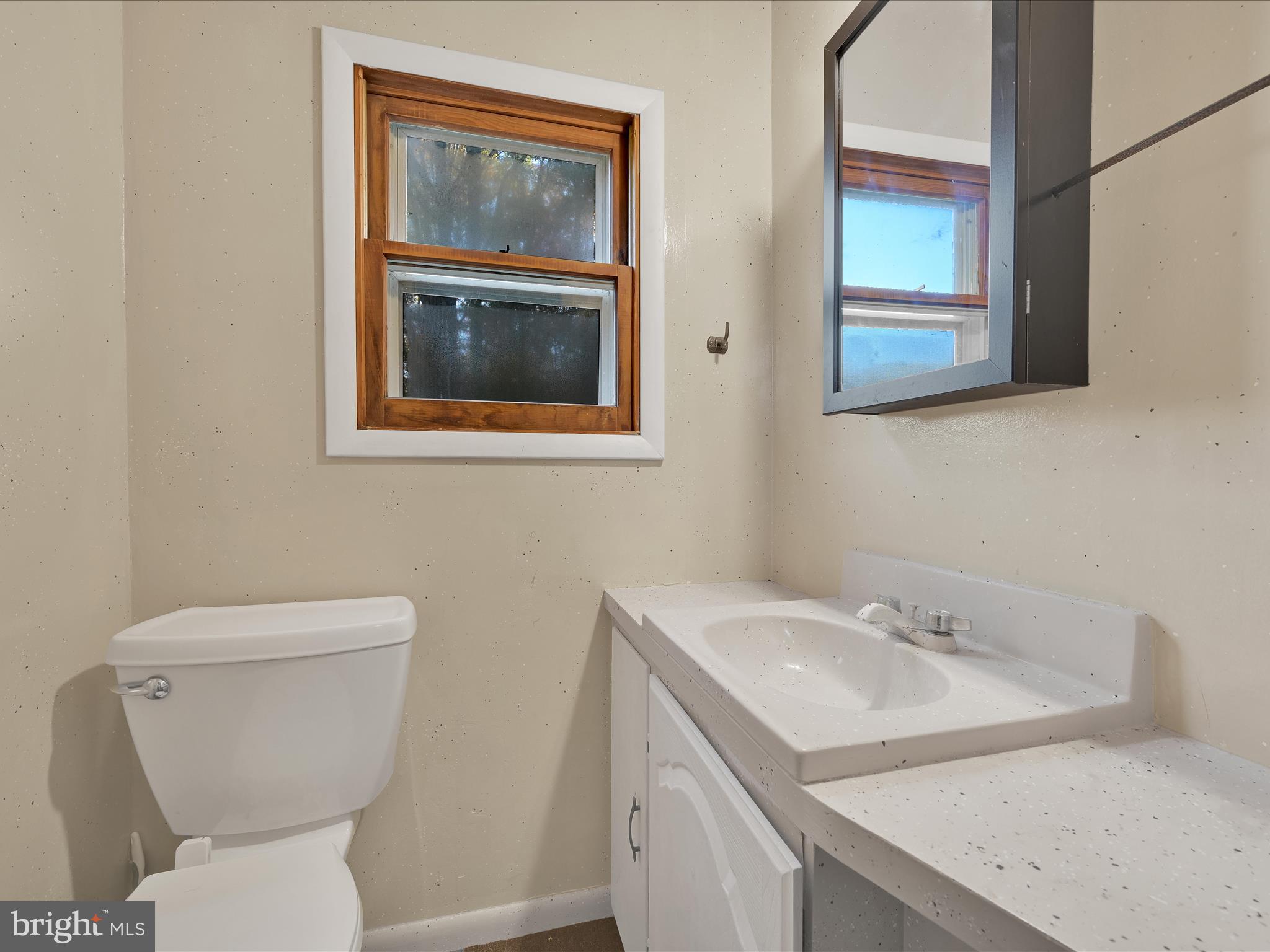 148 Mexico Road Pine Grove, PA 17963 - Photo 18 of 33 a bathroom with a toilet a sink and a mirror