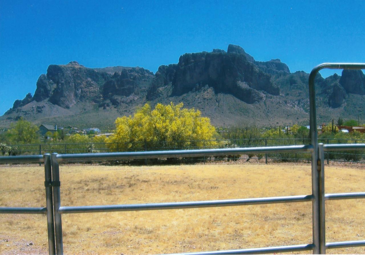 1963 North Mountain View Road Apache Junction, AZ 85119 - Photo 8 of 19 horse coral