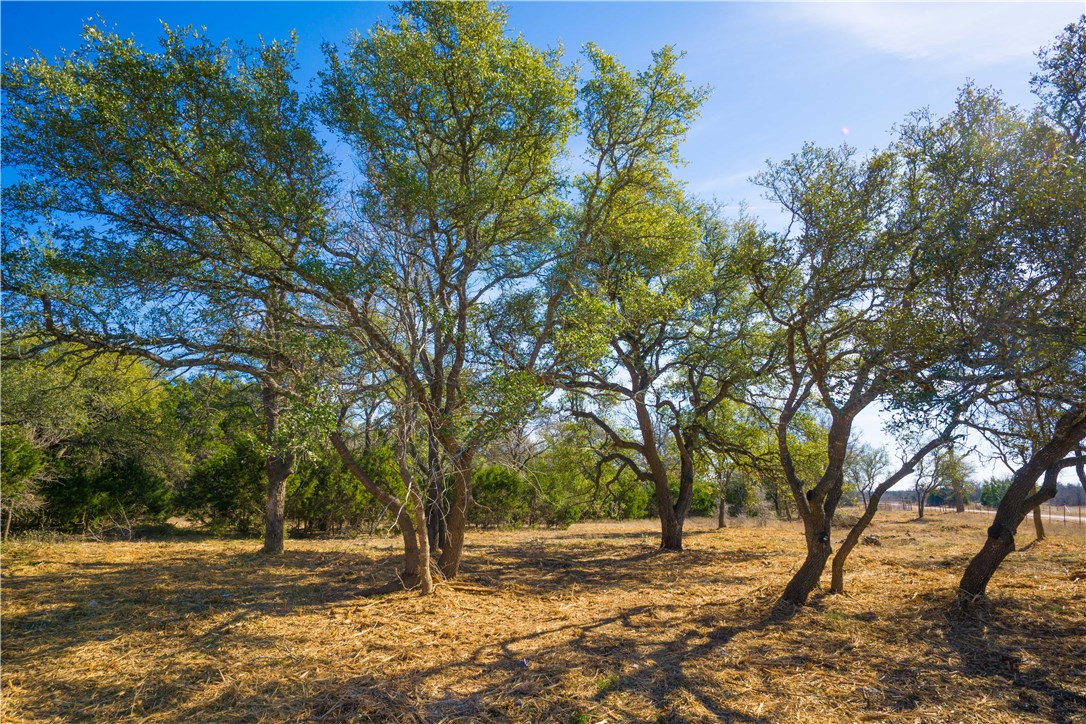 1200 Lightning Ranch Road Georgetown, TX 78628 - Photo 1 of 1 Gallery Image 1