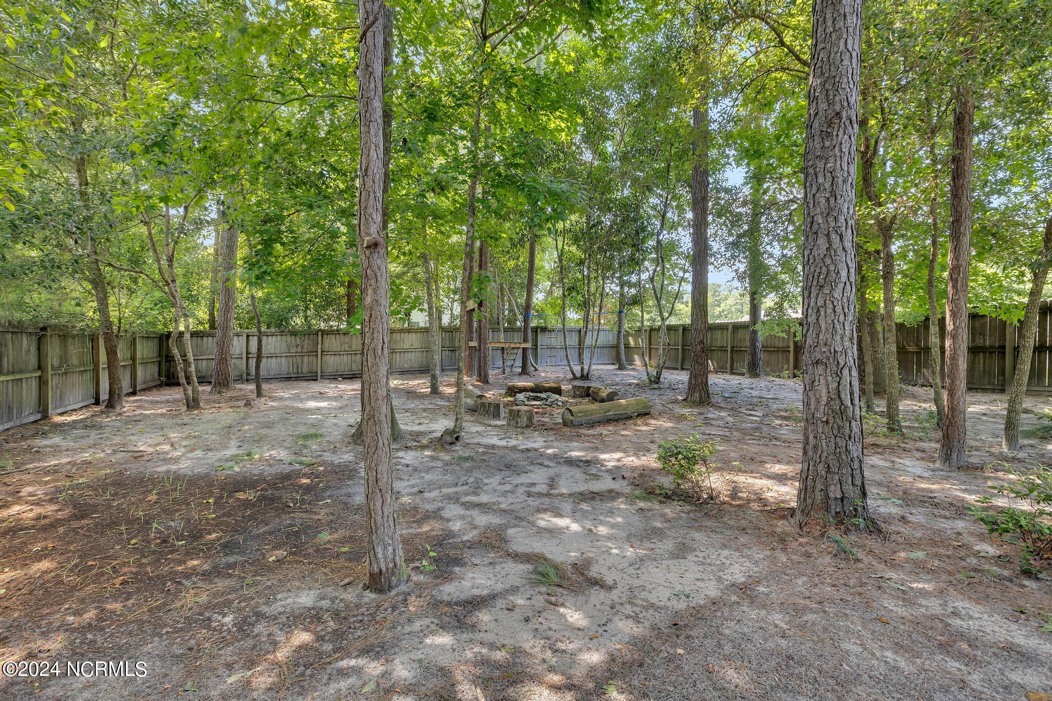 101 Old Dock Landing Road Sneads Ferry, NC 28460 - Photo 27 of 28 IMG_5522