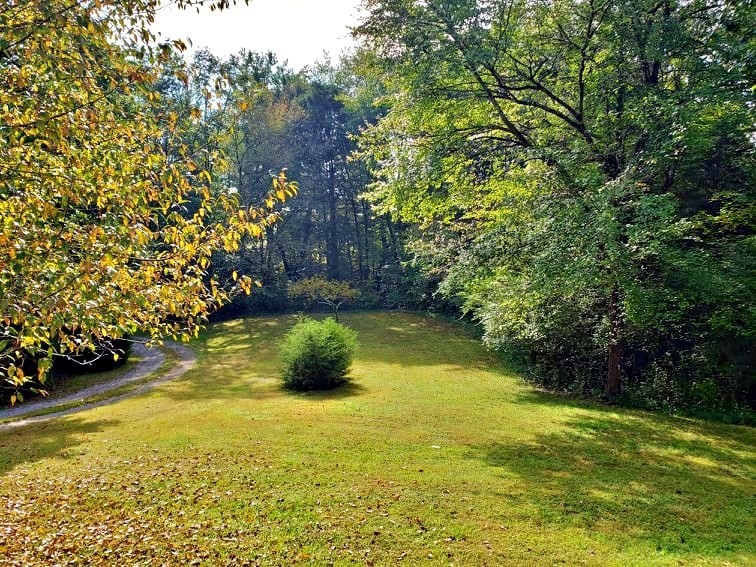 449 Reed Road Ten Mile, TN 37880 - Photo 8 of 51 Gallery Image 8