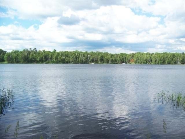 3612 West Bearskull Road Park Falls, WI 54552 - Photo 9 of 18 Gallery Image 9