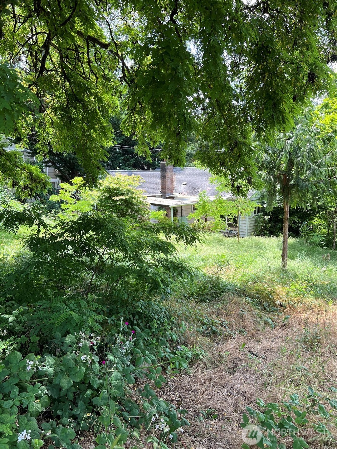 957 Aberdeen Avenue Northeast Renton, WA 98056 - Photo 8 of 11 a view of a green field with lots of trees