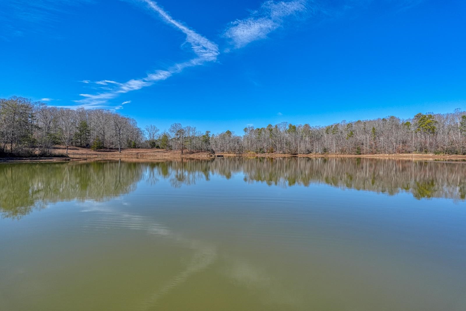 275 Michaels Court Chesnee, SC 29323 - Photo 26 of 50