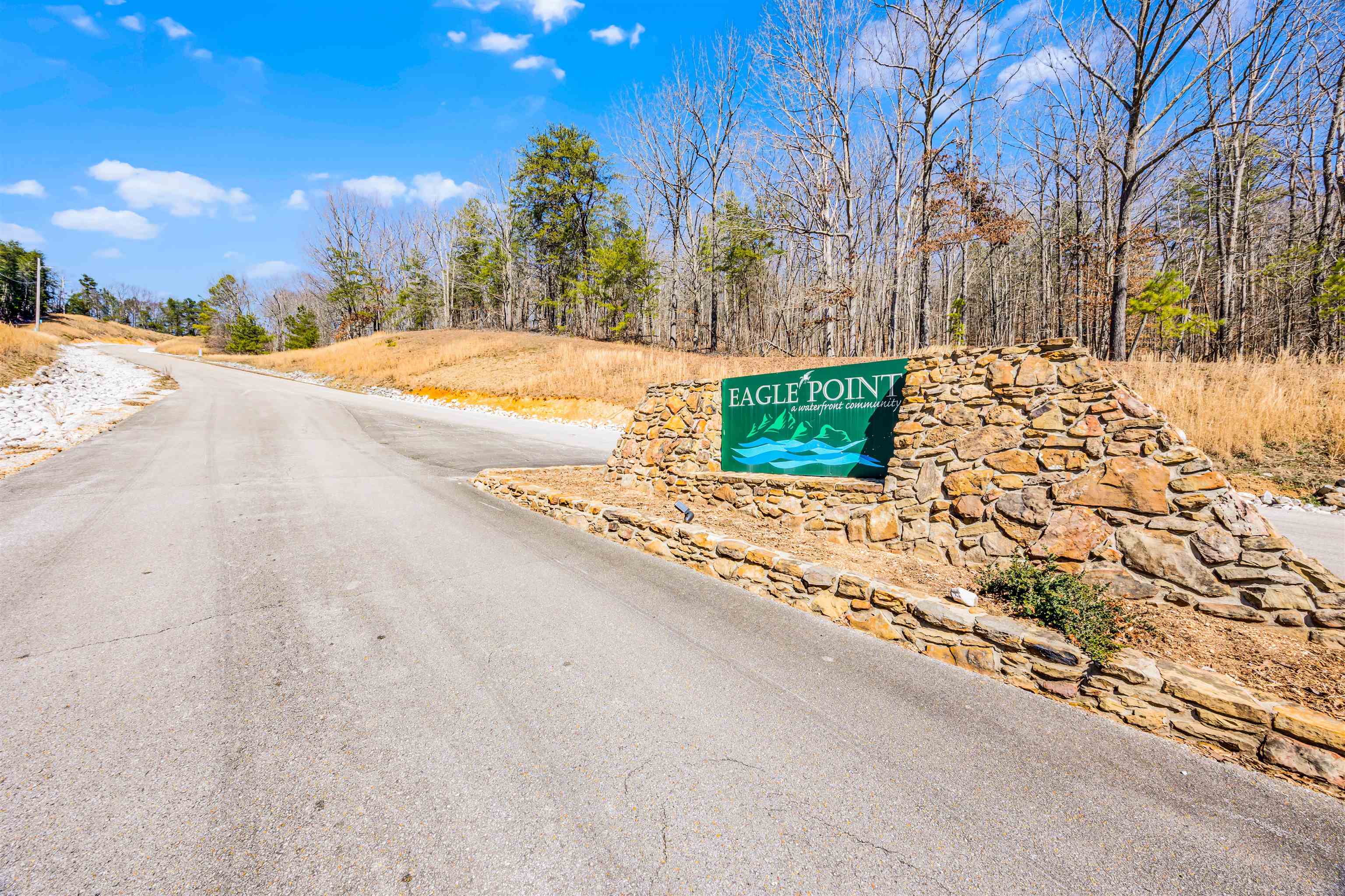 228 Chickasaw Trace Cherokee, AL 35616 - Photo 19 of 27 View of street