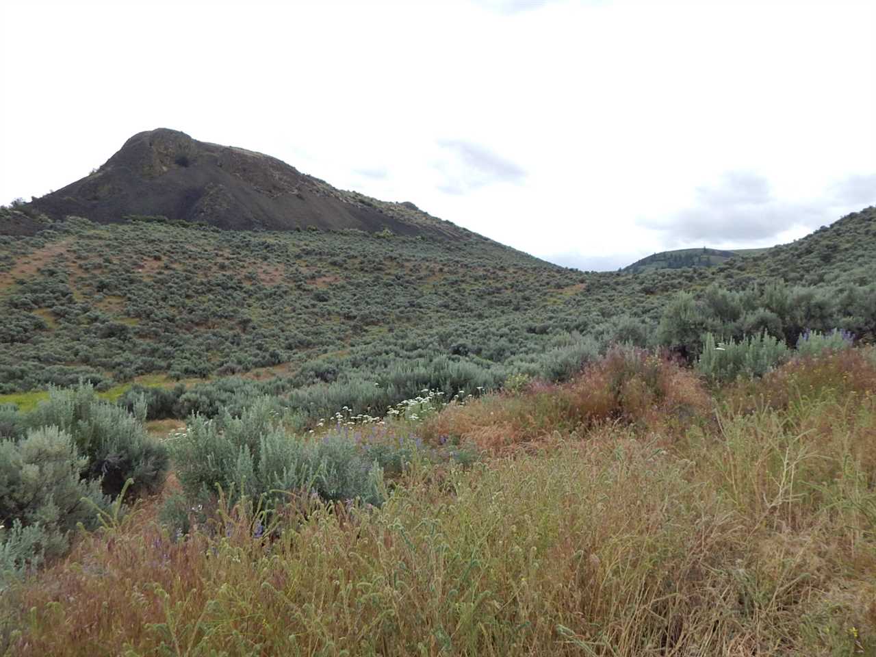 3220 East Spring Canyon Road Grand Coulee, WA 99133 - Photo 19 of 20 Gallery Image 19