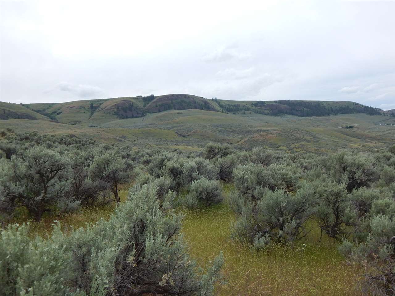 3220 East Spring Canyon Road Grand Coulee, WA 99133 - Photo 4 of 20 Gallery Image 4