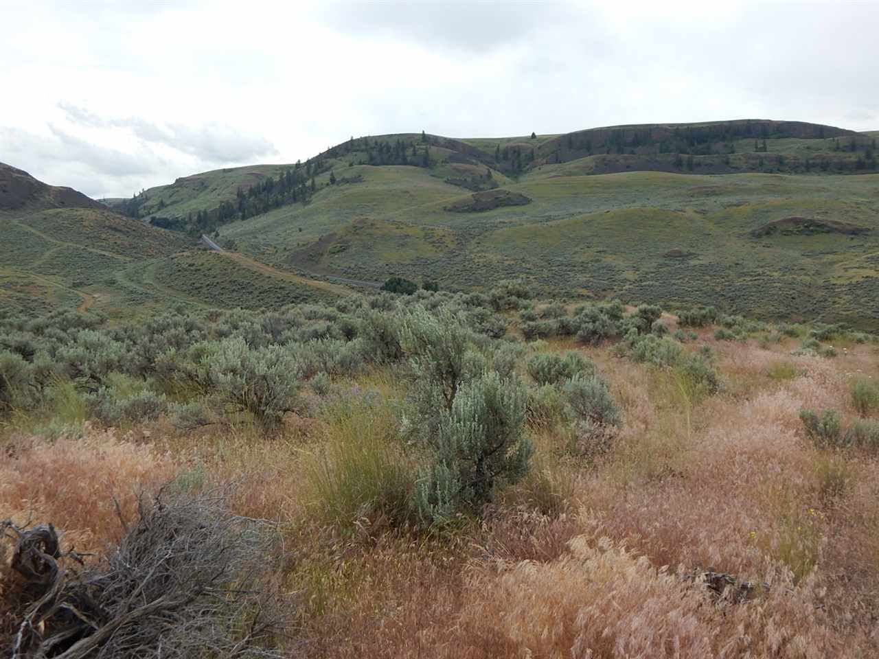 3220 East Spring Canyon Road Grand Coulee, WA 99133 - Photo 5 of 20 Gallery Image 5