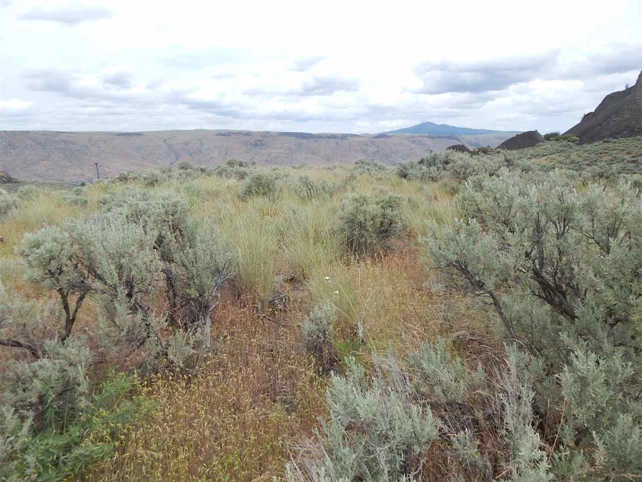 3220 East Spring Canyon Road Grand Coulee, WA 99133 - Photo 8 of 20 Gallery Image 8