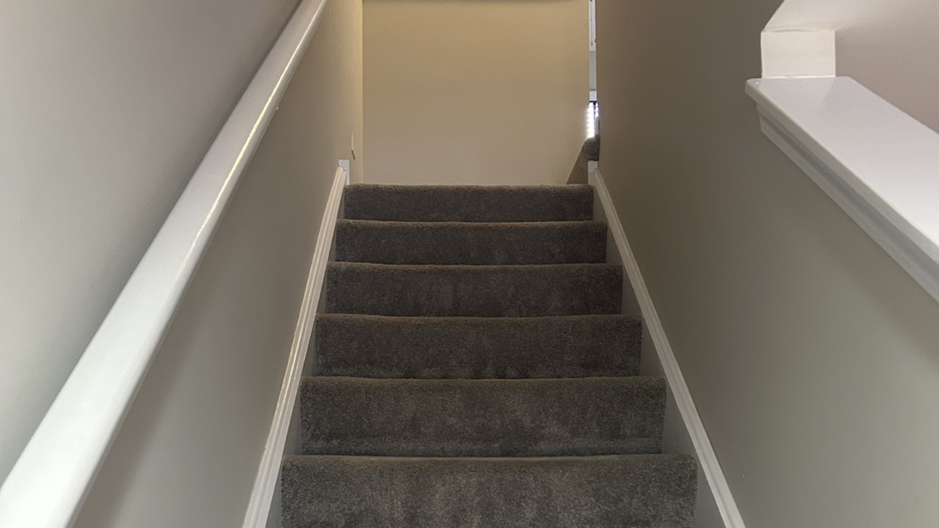 14620 Samuel Adams Drive Plainfield, IL 60544 - Photo 14 of 22