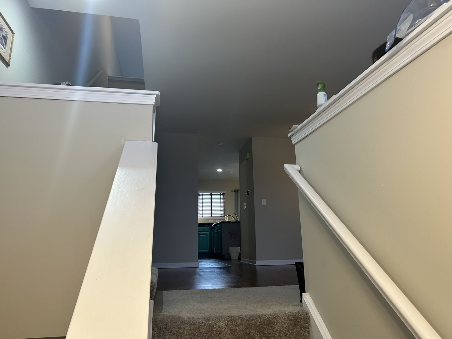 14620 Samuel Adams Drive Plainfield, IL 60544 - Photo 5 of 22