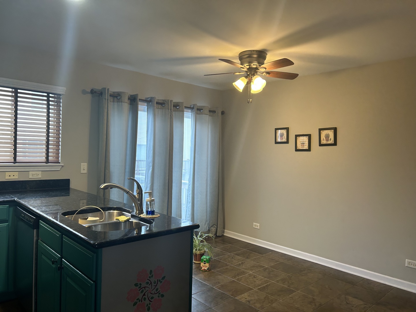 14620 Samuel Adams Drive Plainfield, IL 60544 - Photo 9 of 22