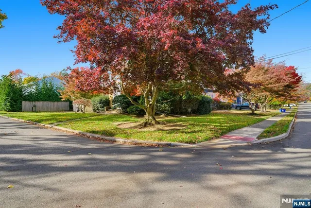 a view of a house with a yard and large tree