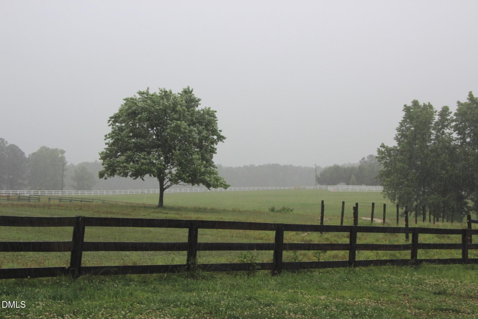 7925 Ragan Road Apex, NC 27502 - Photo 17 of 18 Pasture