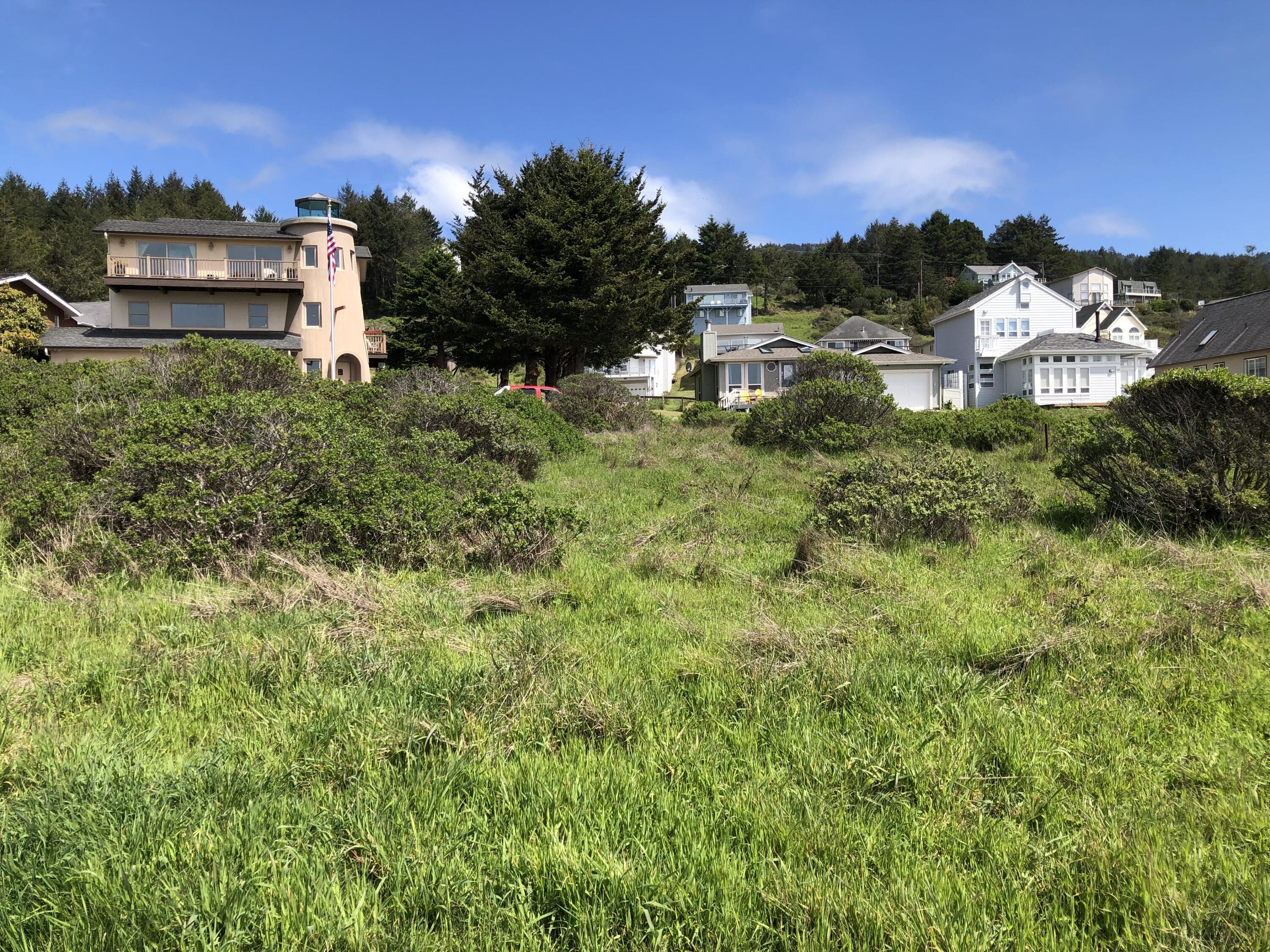 91 Sea View Road Whitethorn, CA 95589 - Photo 9 of 10