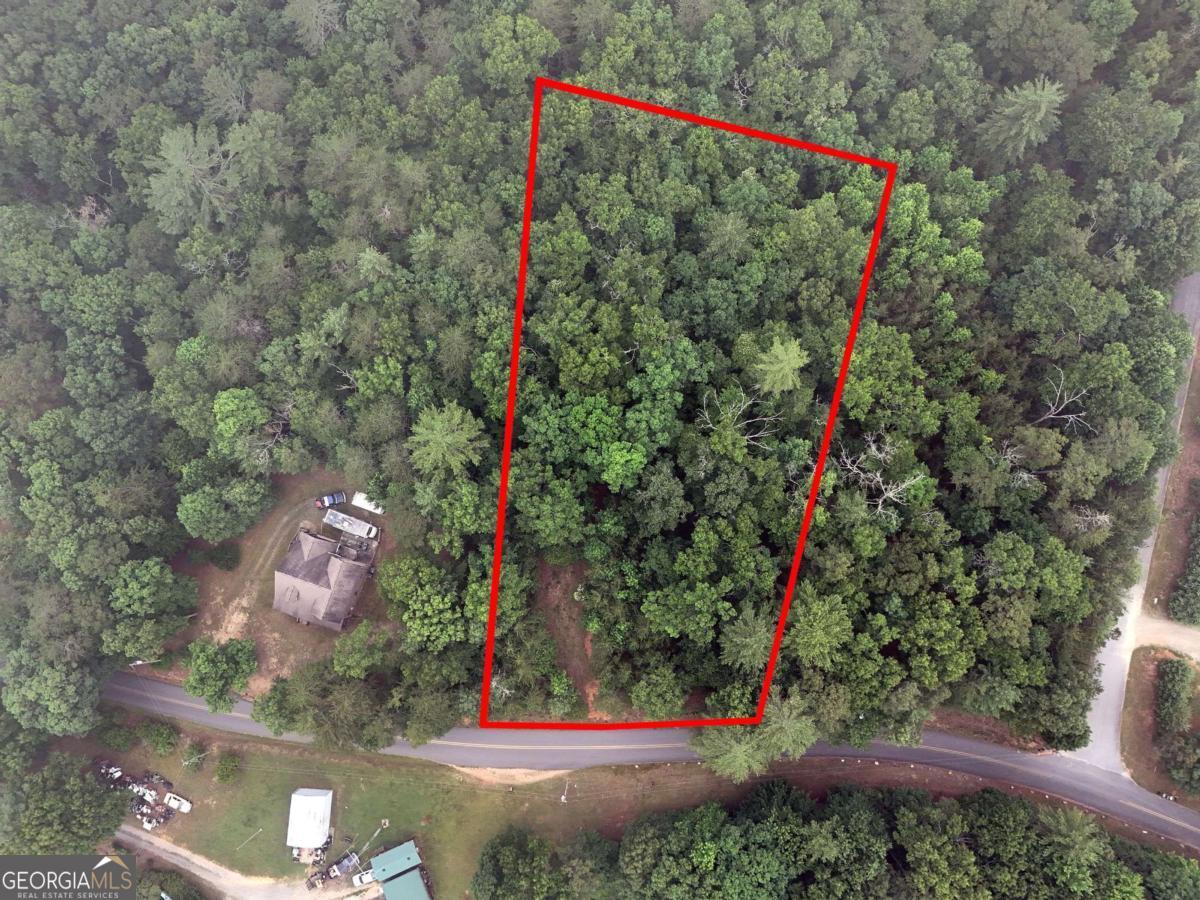 Lot 3 Cook Henry Road Blairsville, GA 30512 - Photo 6 of 18