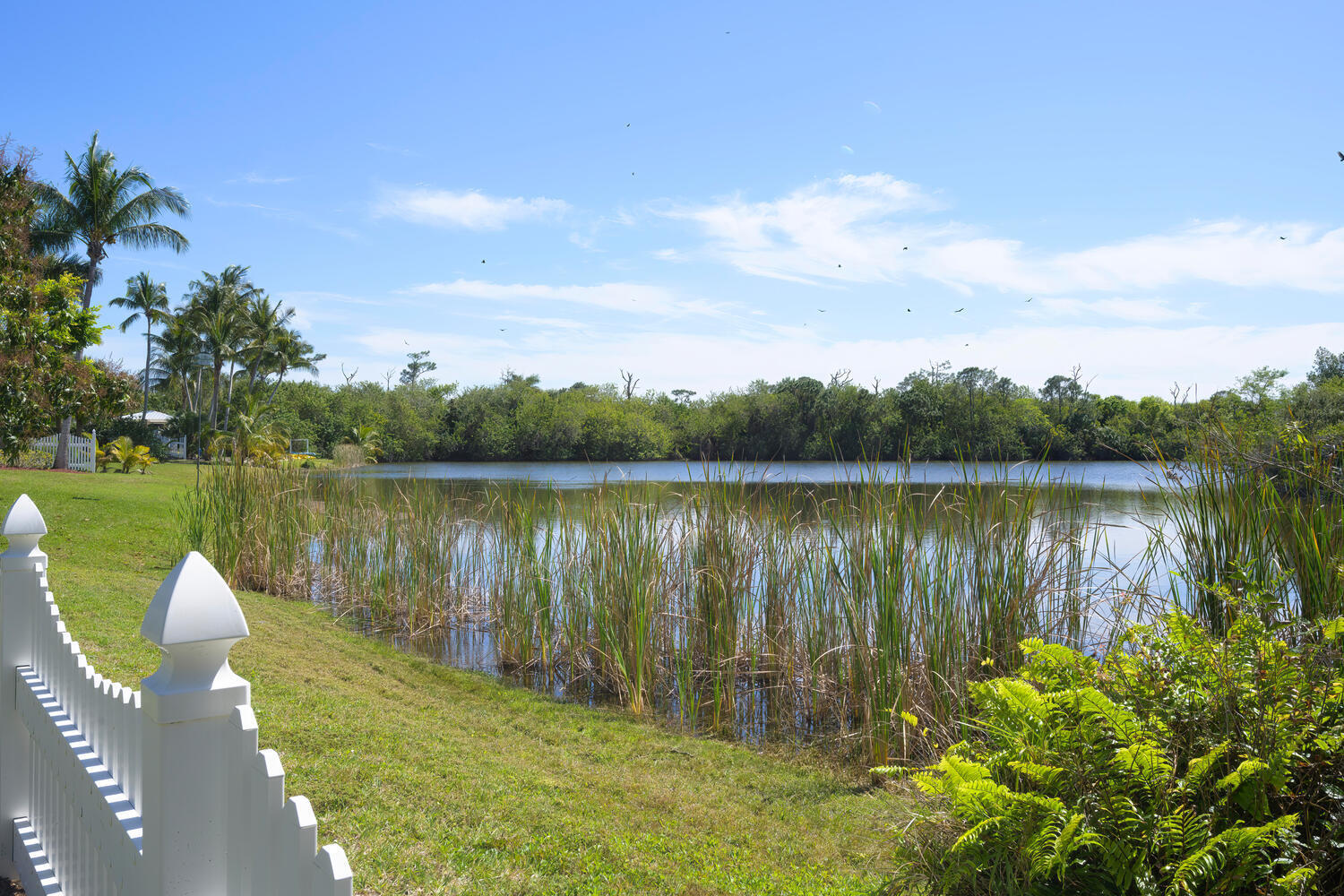 1560 Southwest Dyer Point Road Palm City, FL 34990 - Photo 29 of 40 1560 Dyer Point