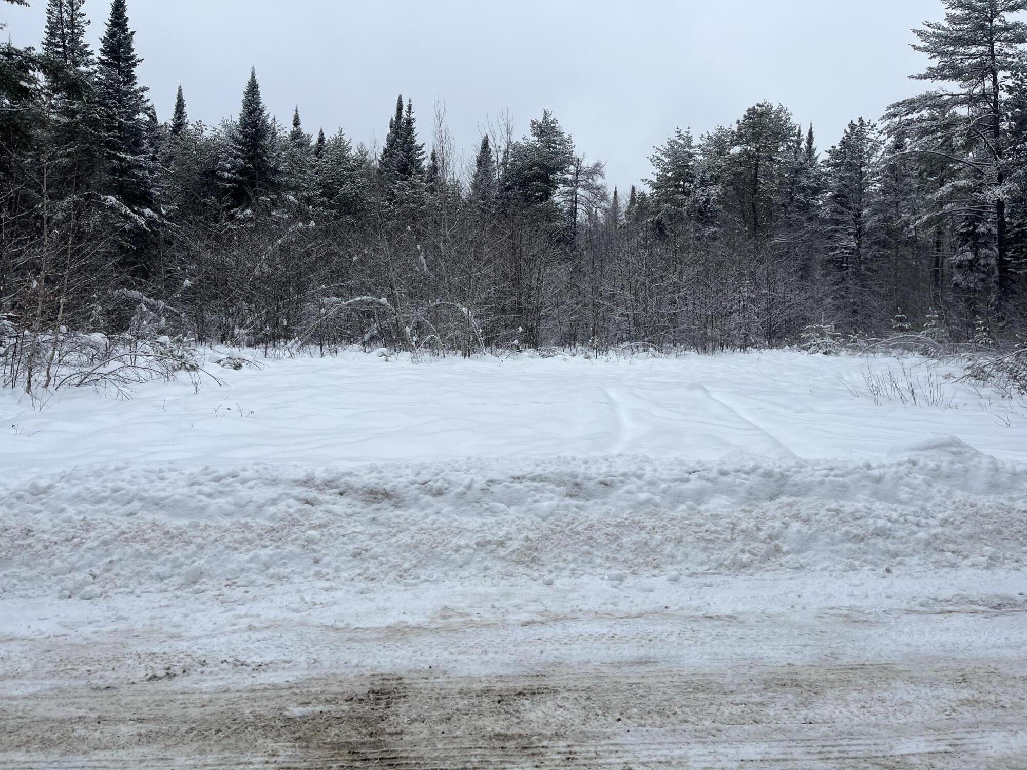 0 Harmon Notch Road Brownfield, ME 04010 - Photo 8 of 24 IMG_4122