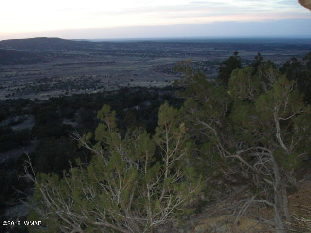 Lot 4 Pinon, Unit 1 Concho, AZ 85924 - Photo 11 of 33