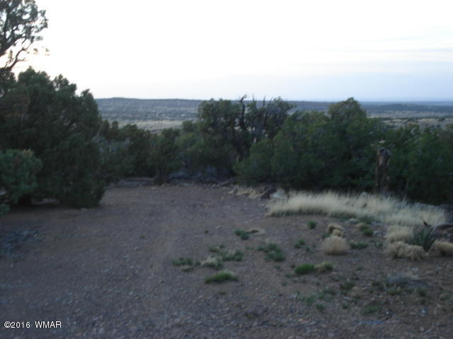 Lot 4 Pinon, Unit 1 Concho, AZ 85924 - Photo 12 of 33