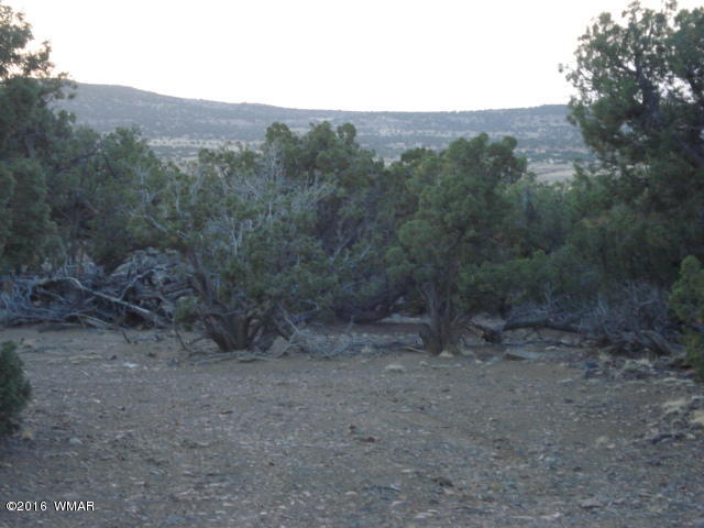 Lot 4 Pinon, Unit 1 Concho, AZ 85924 - Photo 13 of 33