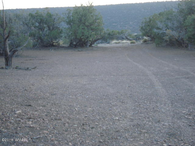 Lot 4 Pinon, Unit 1 Concho, AZ 85924 - Photo 14 of 33