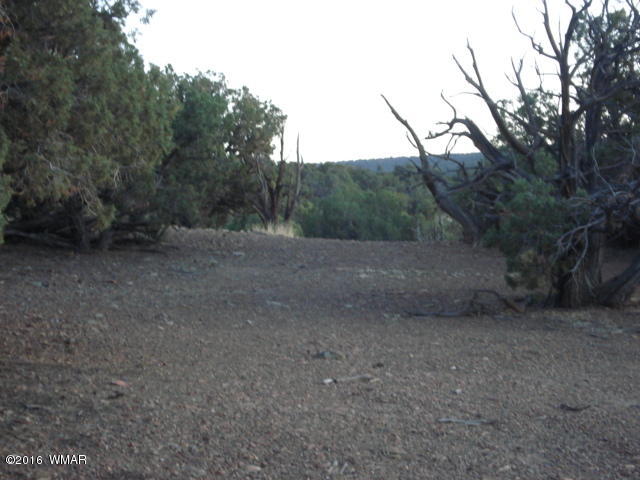 Lot 4 Pinon, Unit 1 Concho, AZ 85924 - Photo 15 of 33